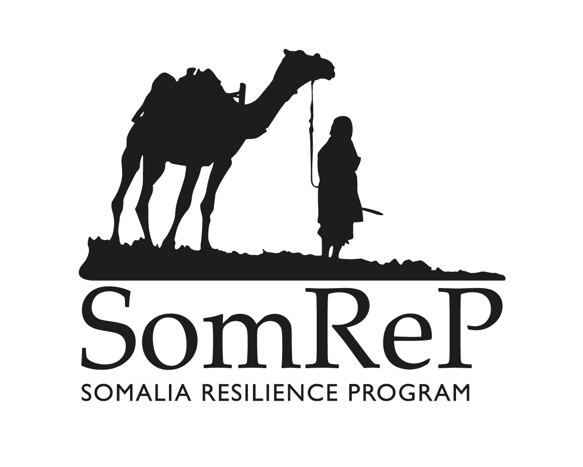 Somrep Logo